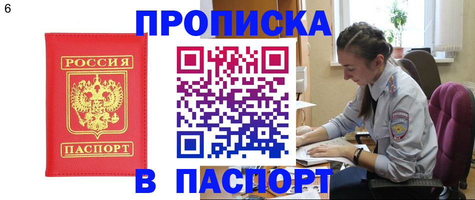 прописка гарантия в Мамадыше